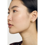 ted baker celtis: celestial crystal star drop earring