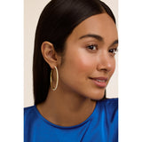 ted baker perla: large pearl hoop earrings, gold tone, pearl